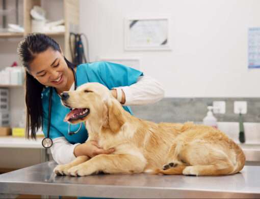 faculdade-de-veterinaria