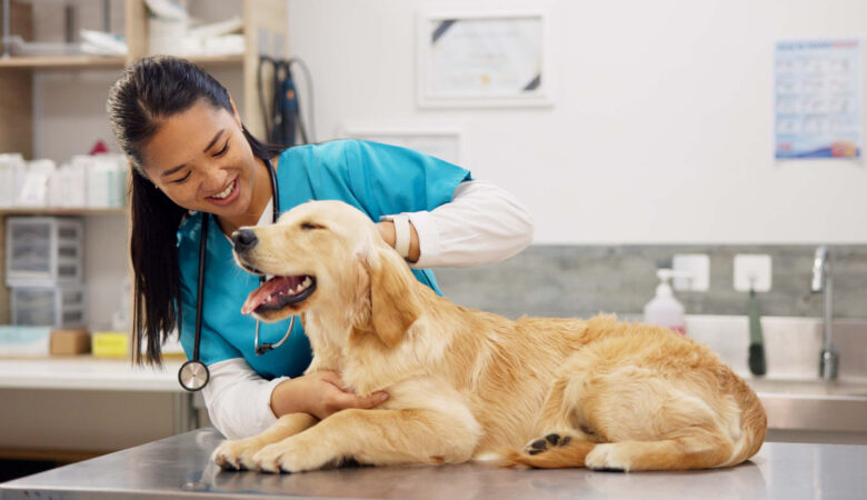 faculdade-de-veterinaria