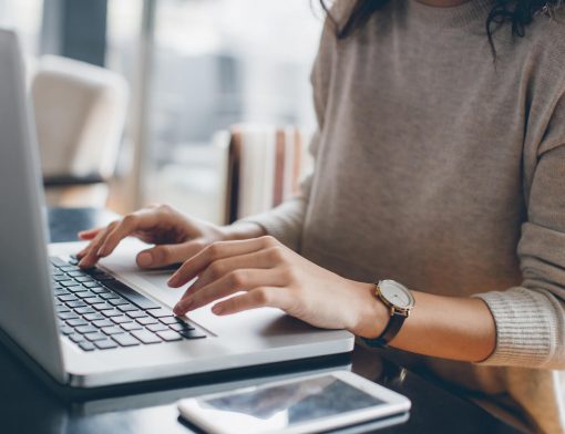 disciplina online