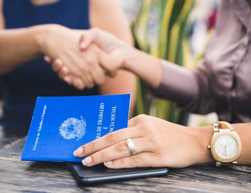 empregabilidade no brasil