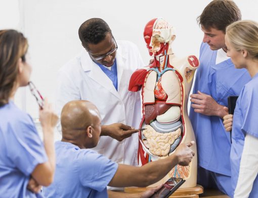 medicina academica