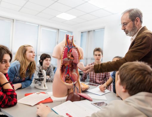 como estudar para o enem