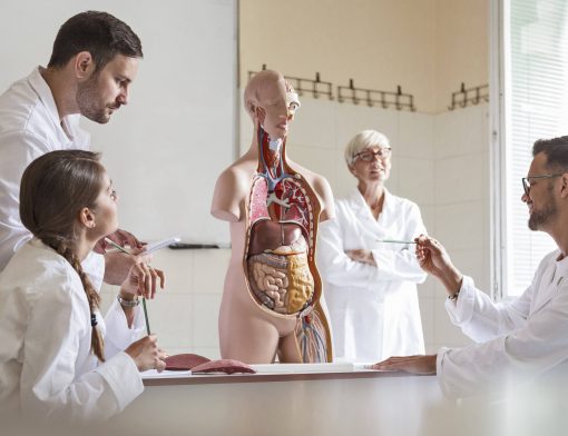 Ciclo básico de Medicina: descubra o primeiro desafio da graduação!