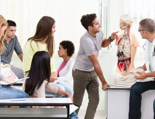Conheça as principais posições anatômicas para se preparar para o curso de Medicina